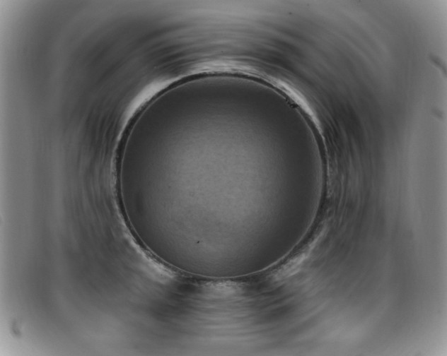 X0000096681045200802051241