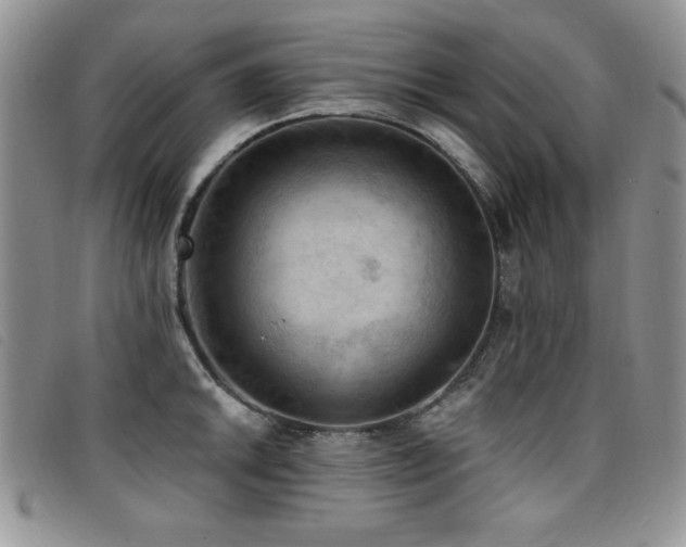 X0000096681046200802051241