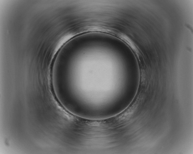 X0000096681048200802051241