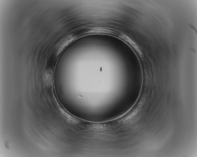 X0000096681049200802051242