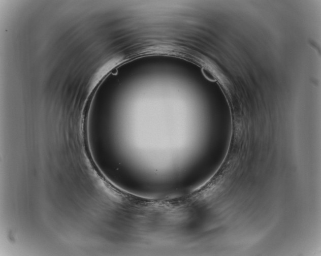 X0000096681050200802051242