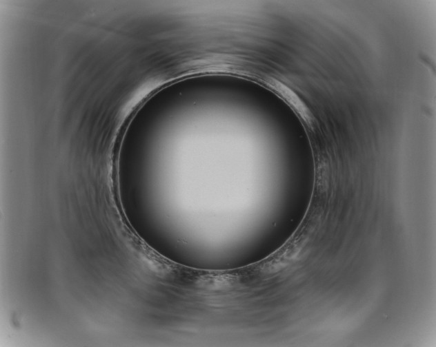 X0000096681051200802051242