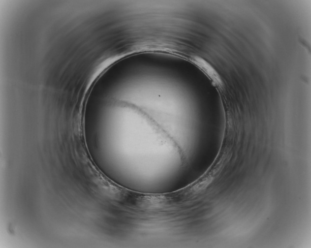 X0000096681052200802051242