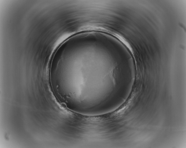 X0000096681053200802051242
