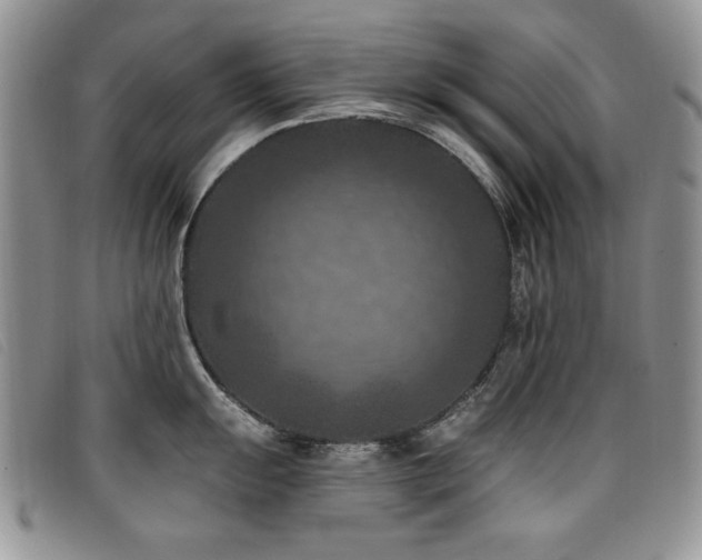 X0000096681055200802051242