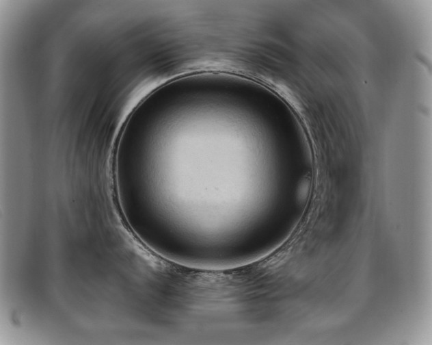 X0000096681056200802051242