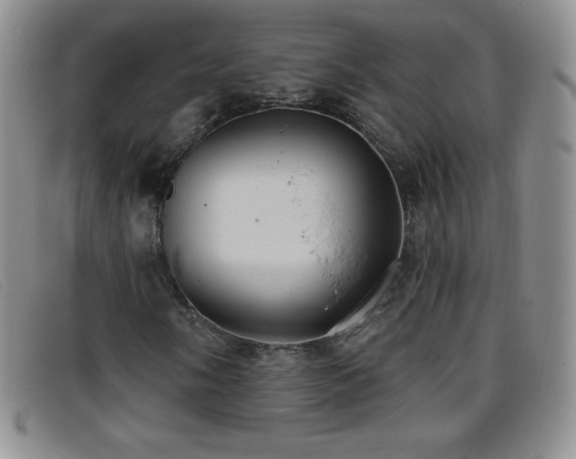 X0000096681058200802051241