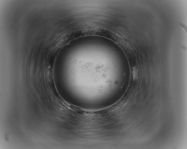 X0000096681059200802051241