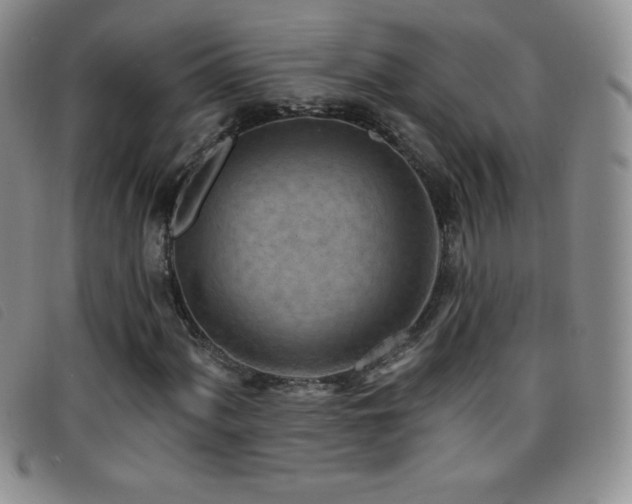 X0000096681060200802051241