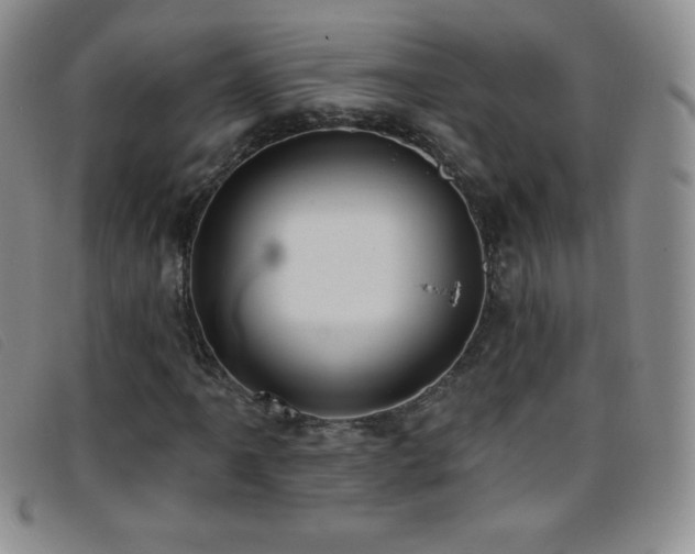 X0000096681061200802051241