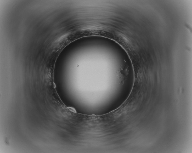 X0000096681062200802051241