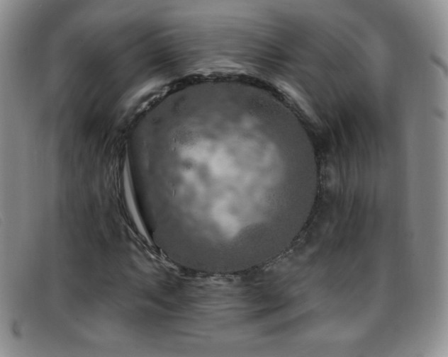 X0000096681063200802051241