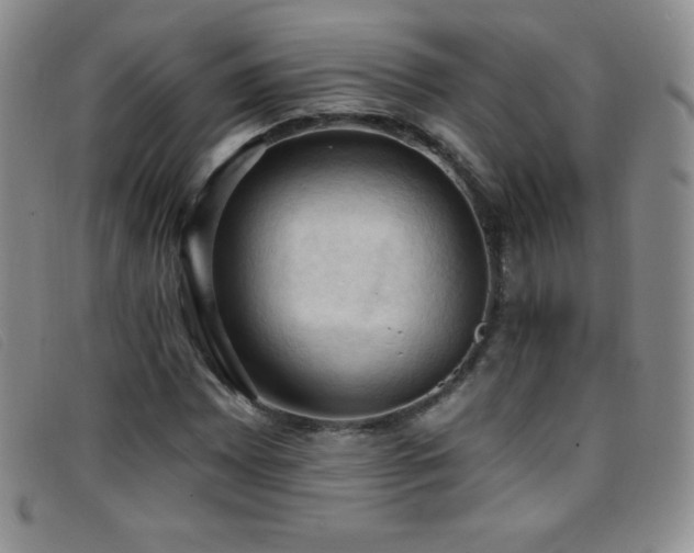 X0000096681065200802051241