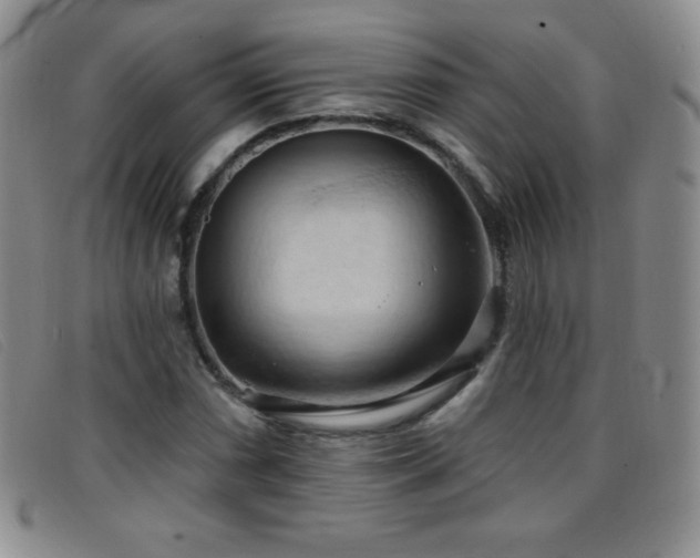 X0000096681066200802051241