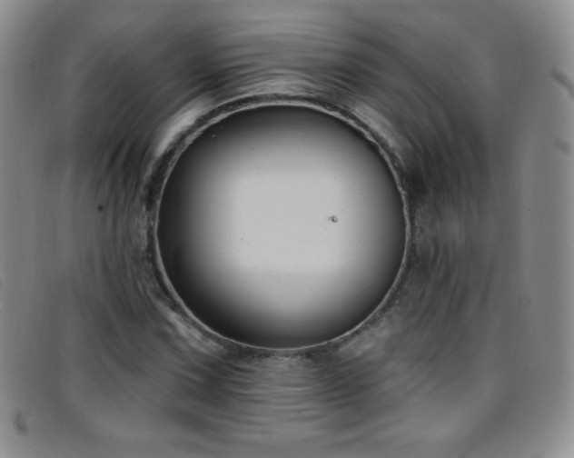 X0000096681067200802051241