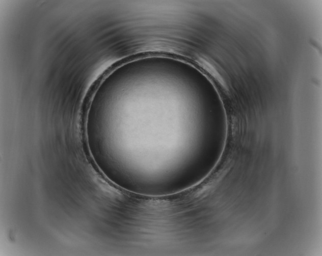 X0000096681068200802051241