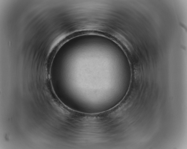 X0000096681069200802051241