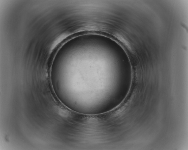 X0000096681070200802051241