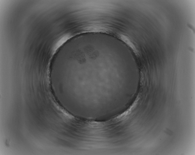 X0000096681071200802051241