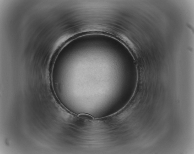 X0000096681072200802051241
