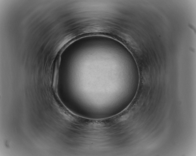 X0000096681073200802051241