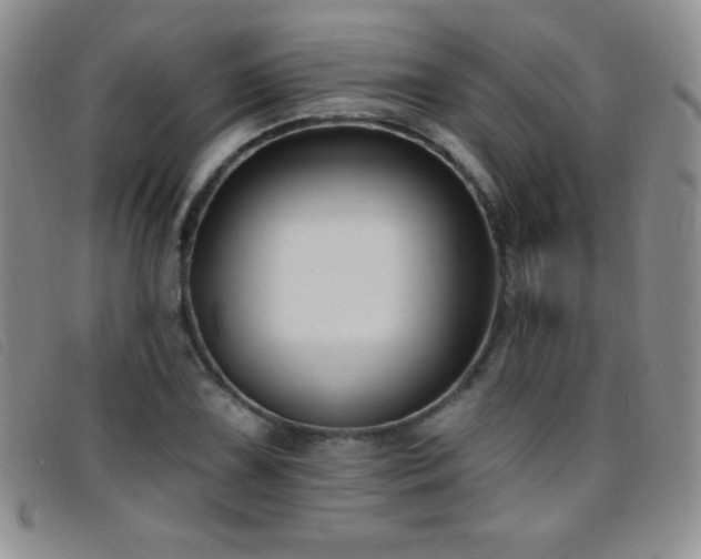 X0000096681075200802051241