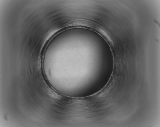 X0000096681076200802051241