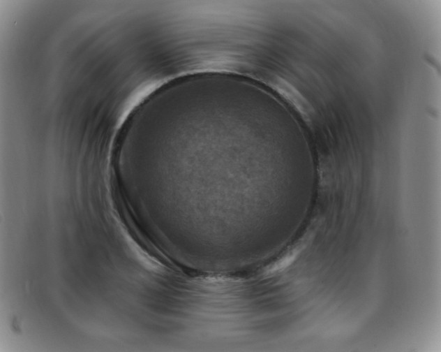 X0000096681077200802051241