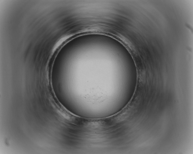 X0000096681078200802051240