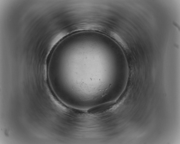 X0000096681079200802051240