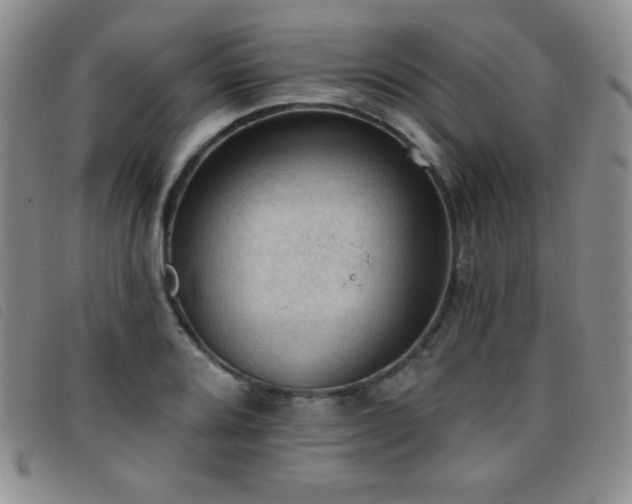 X0000096681080200802051240