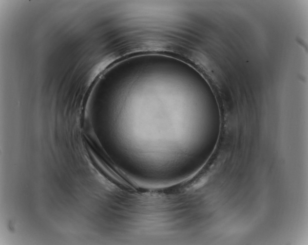 X0000096681081200802051240