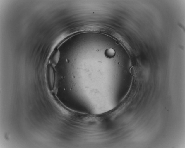 X0000096681083200802051240