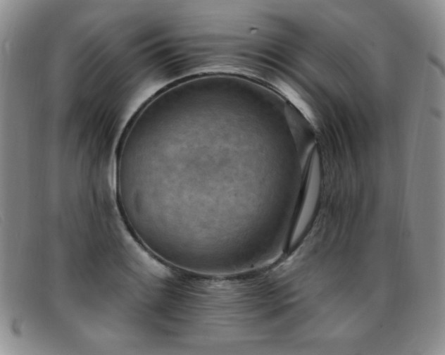 X0000096681084200802051240