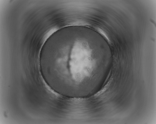 X0000096681087200802051240