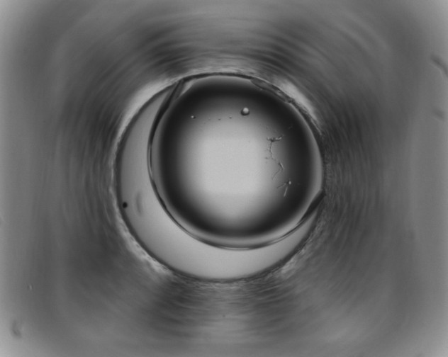 X0000096681088200802051240