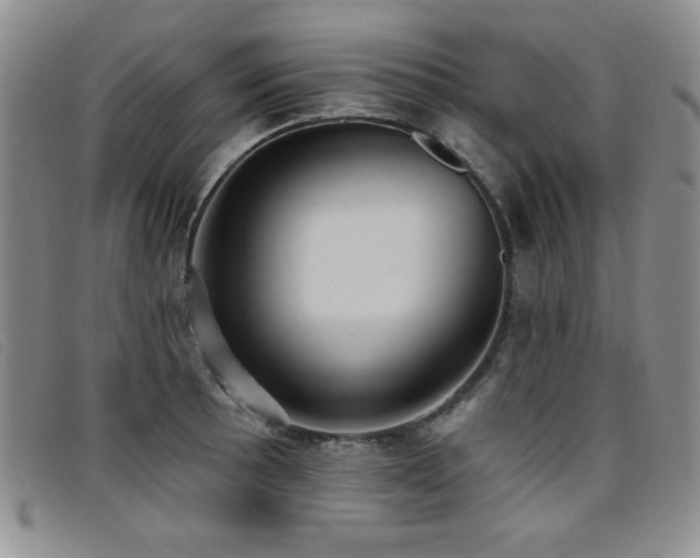 X0000096681089200802051240