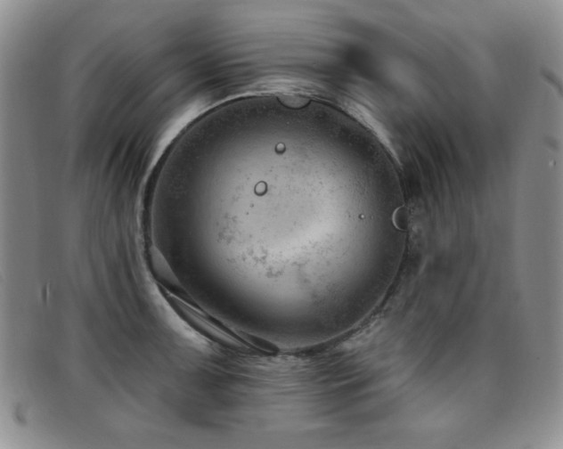 X0000096681091200802051240