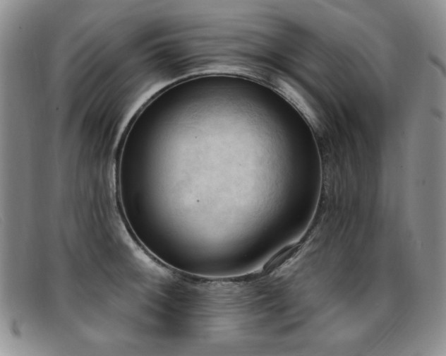 X0000096681092200802051240