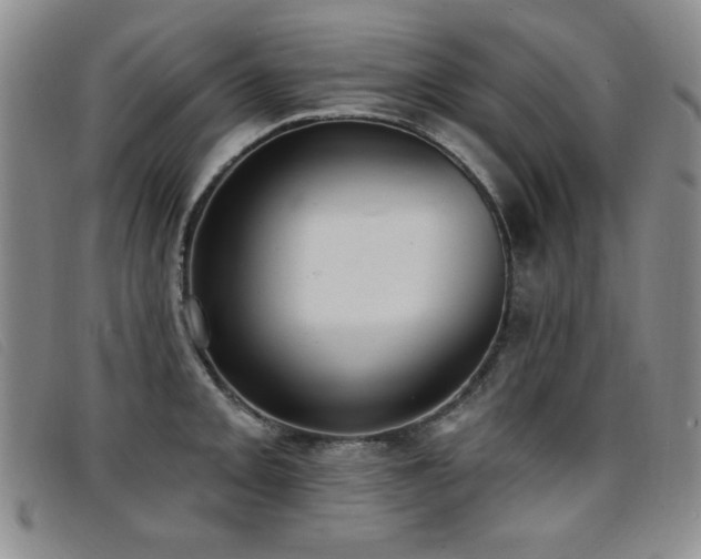 X0000096681093200802051240