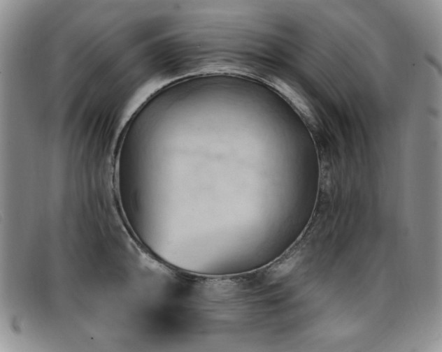 X0000096681094200802051240