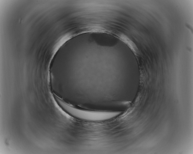 X0000096681095200802051240