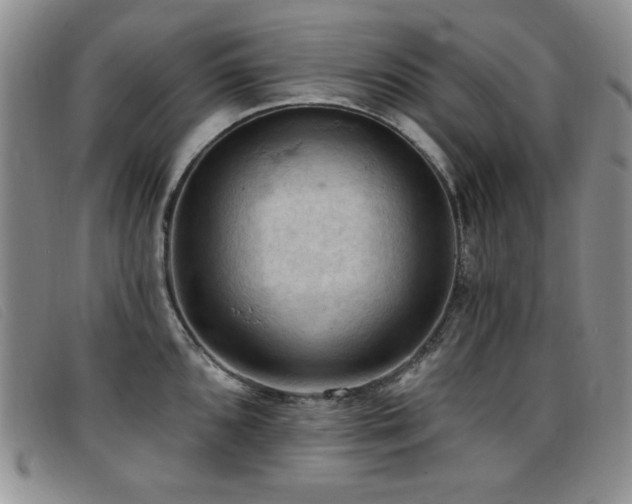 X0000096681096200802051240
