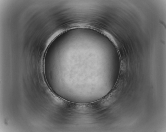X0000096681098200802051240
