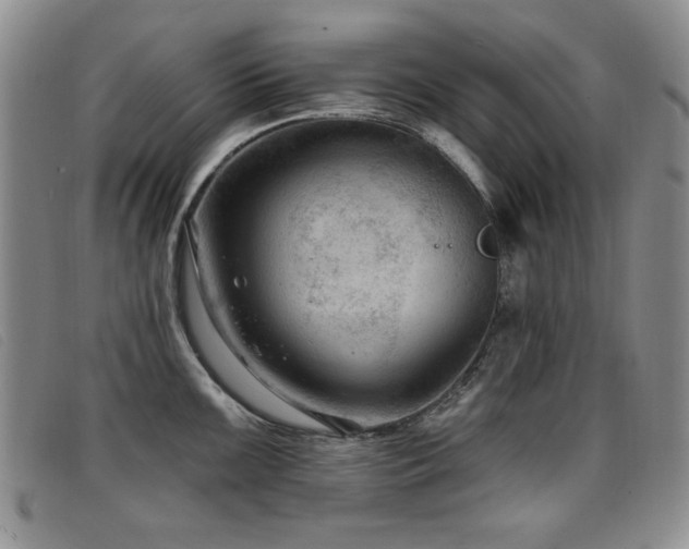 X0000096681099200802051240