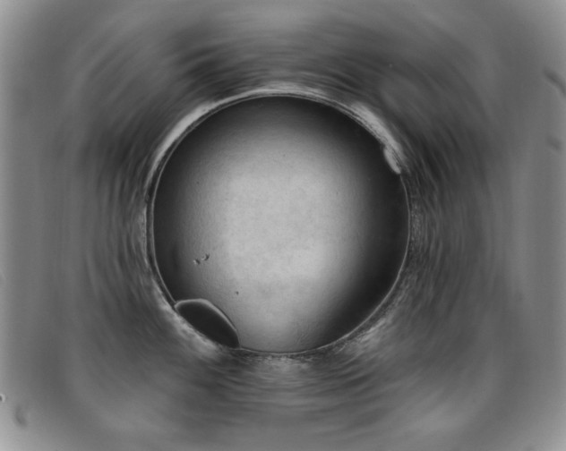 X0000096681100200802051240