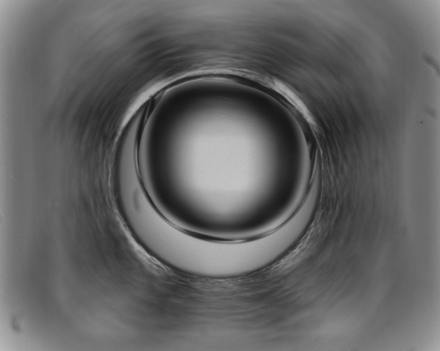 X0000096681101200802051240