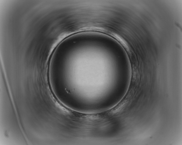 X0000096681102200802051240