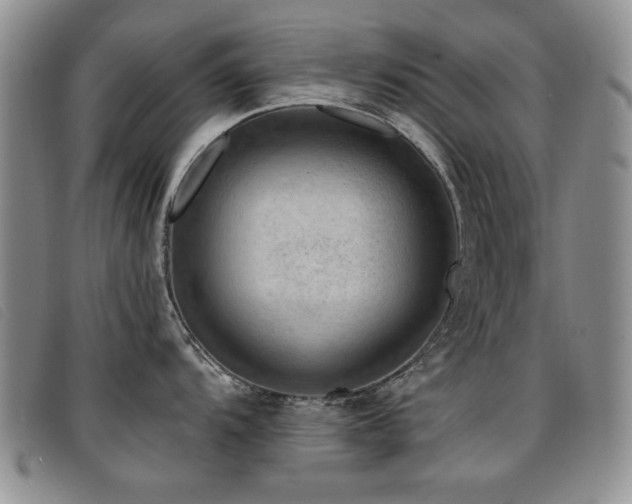 X0000096681104200802051240