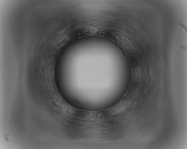 X0000096681105200802051239